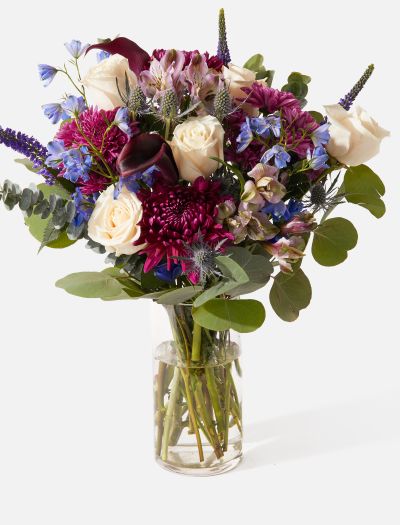 The Selene-FLRL-B-10033